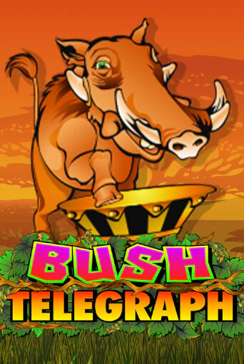 Демо игра Bush Telegraph играть онлайн | Казино Х бесплатно